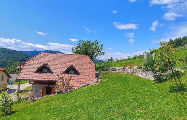 Vineyard cottage Kralj - Foto 22