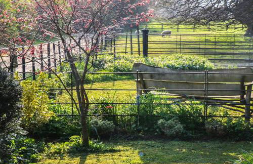 Manor Farm Lodge - Photo 24