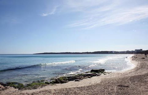 Calamilloraptm2 - Foto 34