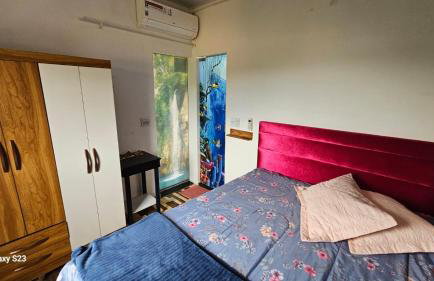 Apartamentos Vips - Foto 4