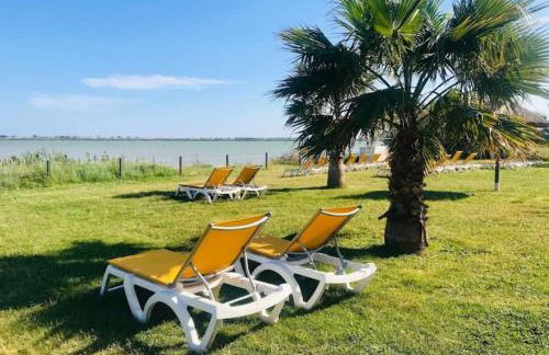 Joli Bungalow 464, 4-6 pers, wifi, terrasse, Camping Siblu Lac des Rêves Lattes - Foto 19