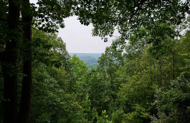 Valley Overlook - Foto 14