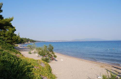 Amari Hotel - Photo 30