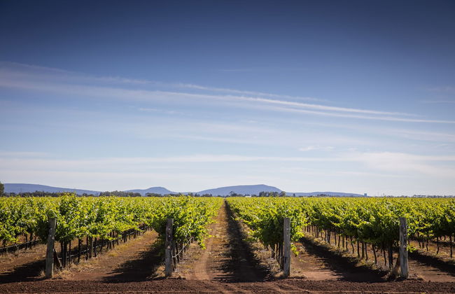 Quest Griffith - Foto 18