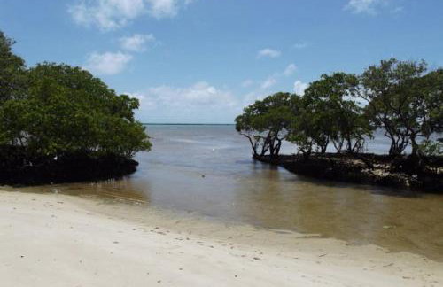 Terraços da Barra 206A Perto de tudo - Foto 22