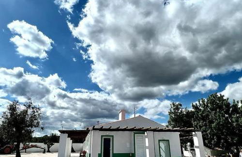 Fonte Freixo, em Borba, Alentejo - Foto 5