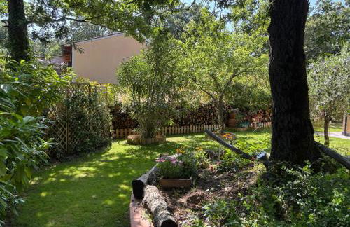 Tra cielo e mare - Foto 18