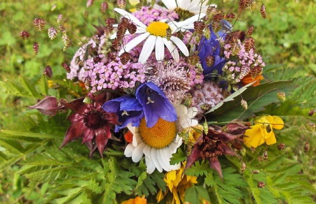 Amiel EG Süd - Foto 18