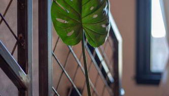 Mayor's Study Loft at Kestrel Hotel - Foto 3