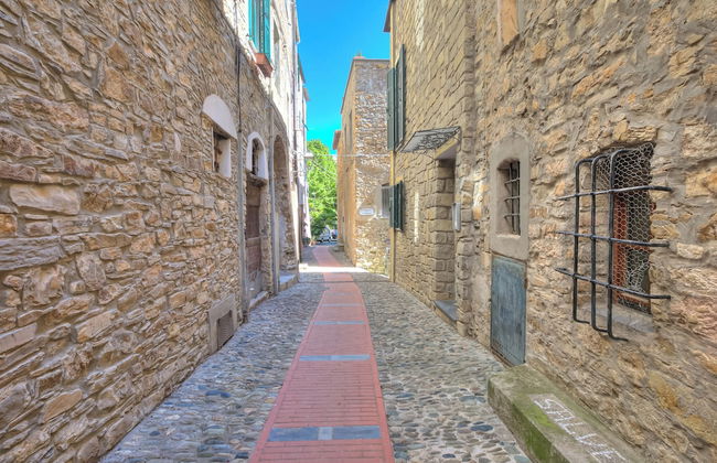 Solemare Blu - Photo 15