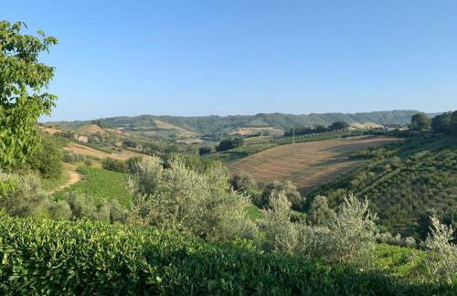 Vineyard Farmhouse in Massignano - Foto 23