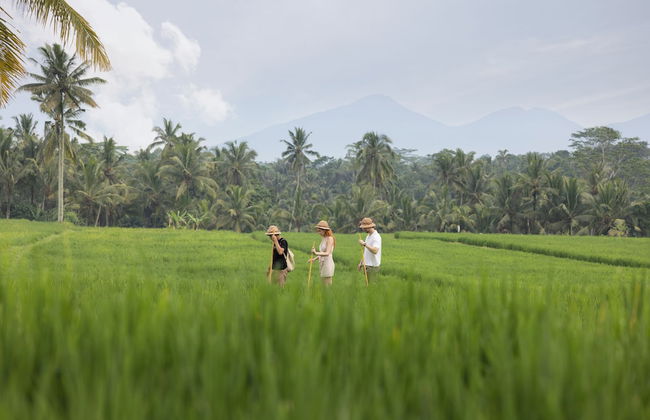 Santris Villa by GenuineHost - Foto 32