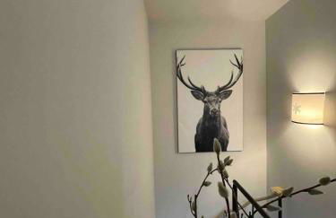 Charmant duplex, 110m2, 7 minutes des pistes, 8 couchages, belle vue sur les montagnes, cheminée - Foto 33