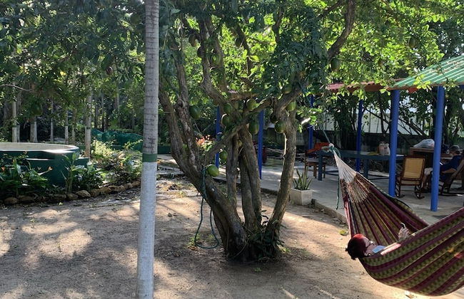 Casa Campomar - Foto 12