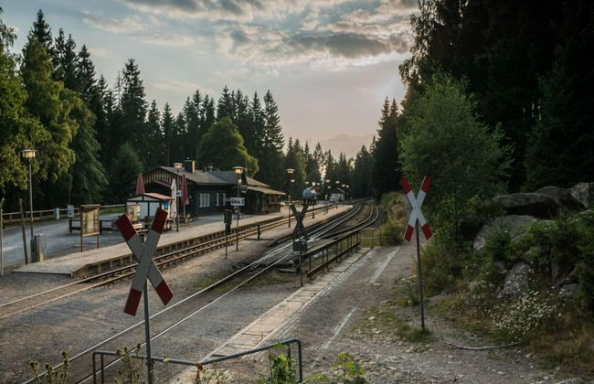 Ferienhaus in Schierke mit Garten - Foto 22