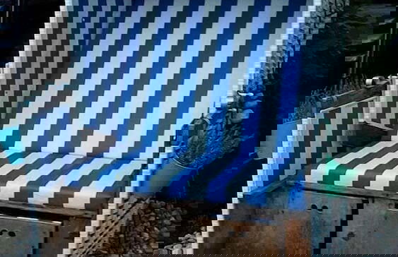 Juwel Feriendorf-Reihenhaus Blaue Blume - Photo 11