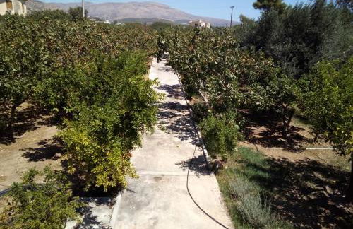 Family and friendly home. - Foto 48