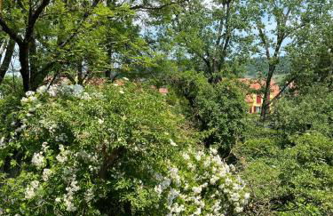 Neu - Wenkheimer Hof Scheunen-Loft - Foto 35