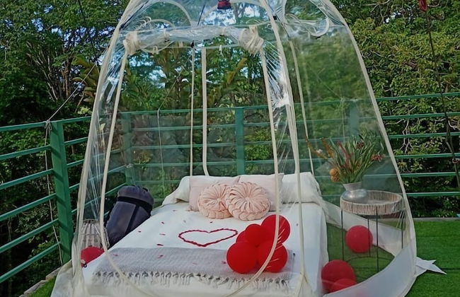 Green Jungle House - Photo 11