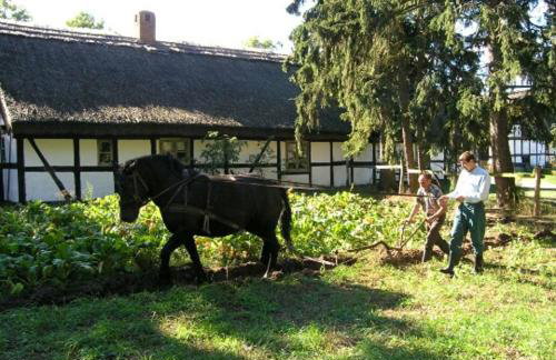 Agroturystyka Pod Dębami w Klukach - Foto 43