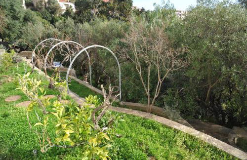 Vue mer 66 - Foto 20