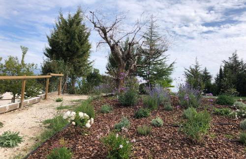 Apartamentos Rurales La Gloria de Yuste - Foto 70