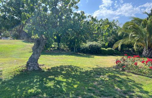 Can Figueretes II - Foto 7