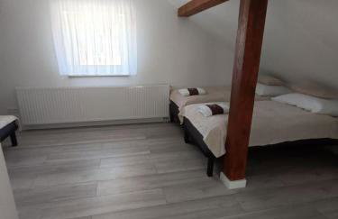 Włostowicka Ostoja Apartament - Foto 9