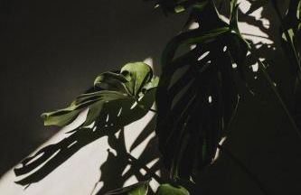 Chris&C Apartments - Foto 6