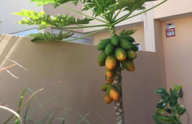 Independiente estudio en acogedora casita de Mai - Foto 32