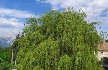 La Maison de Marie « Le Rocher » - Foto 30