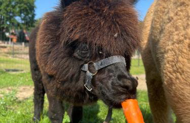 Ulinia Zacisze Dom Comfort 70m2 - Photo 57