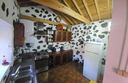 Casa Brum - Photo 12