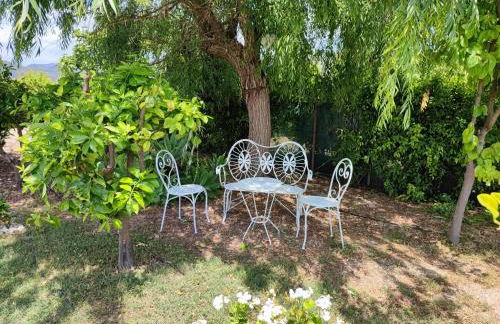 Els Tarongers Perfect for Families or Friends - Foto 26