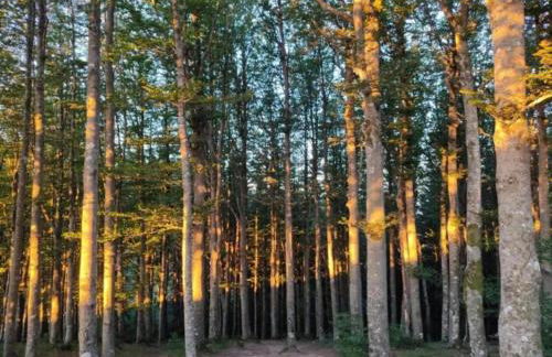Farmhouse with pool,Ortignano - Foto 38