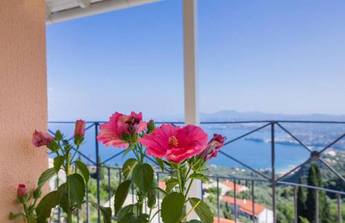 Corfu sight Blue - Photo 21