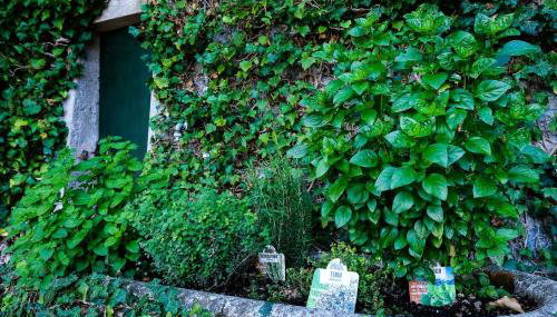 Villa Gina - Foto 5
