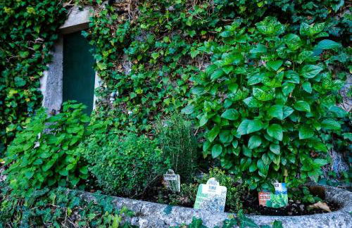 Villa Gina - Foto 31