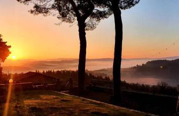 Fattoria Poggio Capponi - Foto 32