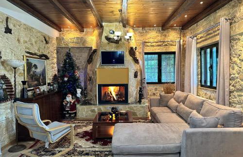 Orange Lemon Garden - Foto 6