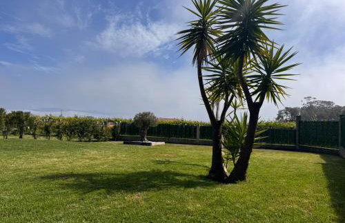 Villa Adina Sanxenxo - Rias Baixas - Foto 43