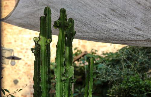 Casa di Gio - Foto 33