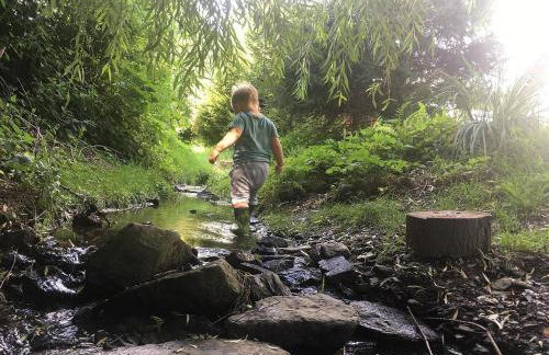 Filipówka - dom z sauną w Karkonoszach - Foto 17