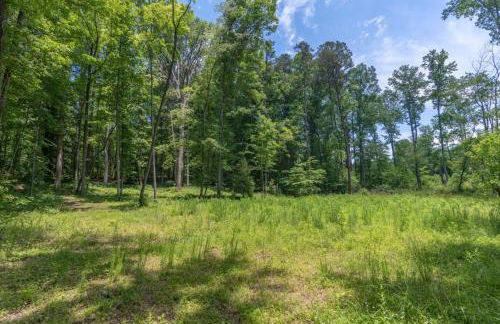 Modern Cabin in the Woods with Hot Tub - Photo 27