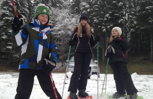 Chalet SPA Le Diamant Nathalie MN La Rouge - Foto 57