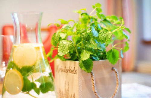 Schwarzbauernhof - Foto 31