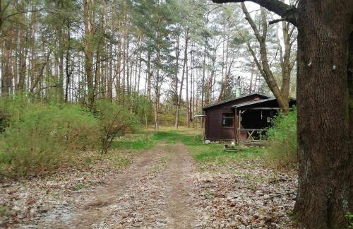 Przystań u Zosi - Foto 1