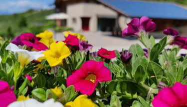 Bio Agritur al Bait - Foto 2