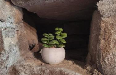 το Πέτρινο της Στέλλας - Foto 20