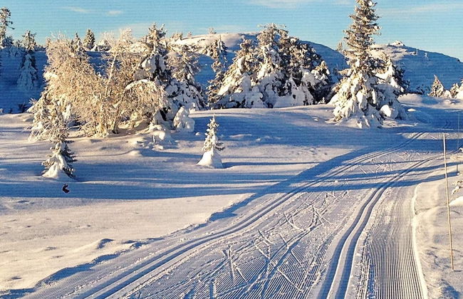 Holiday Home in Svingvoll - Foto 13